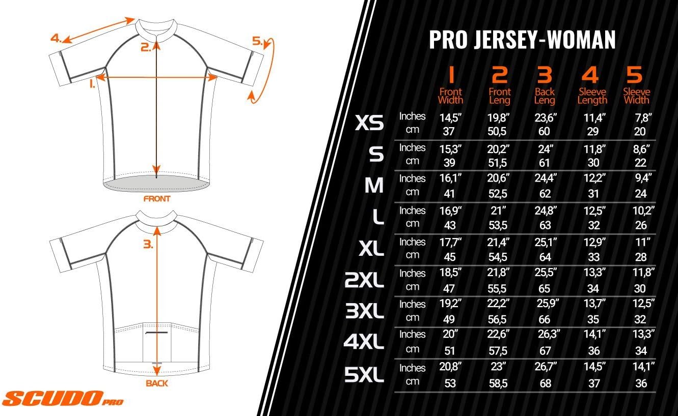 浮世絵、書畫五拾三驛赤坂と御油の二枚売りです。赤坂は歌川芳虎画、御油は飯島光峨画 浮世絵、書畫五拾三驛赤坂と御油の二枚売りです。赤坂は歌川芳虎